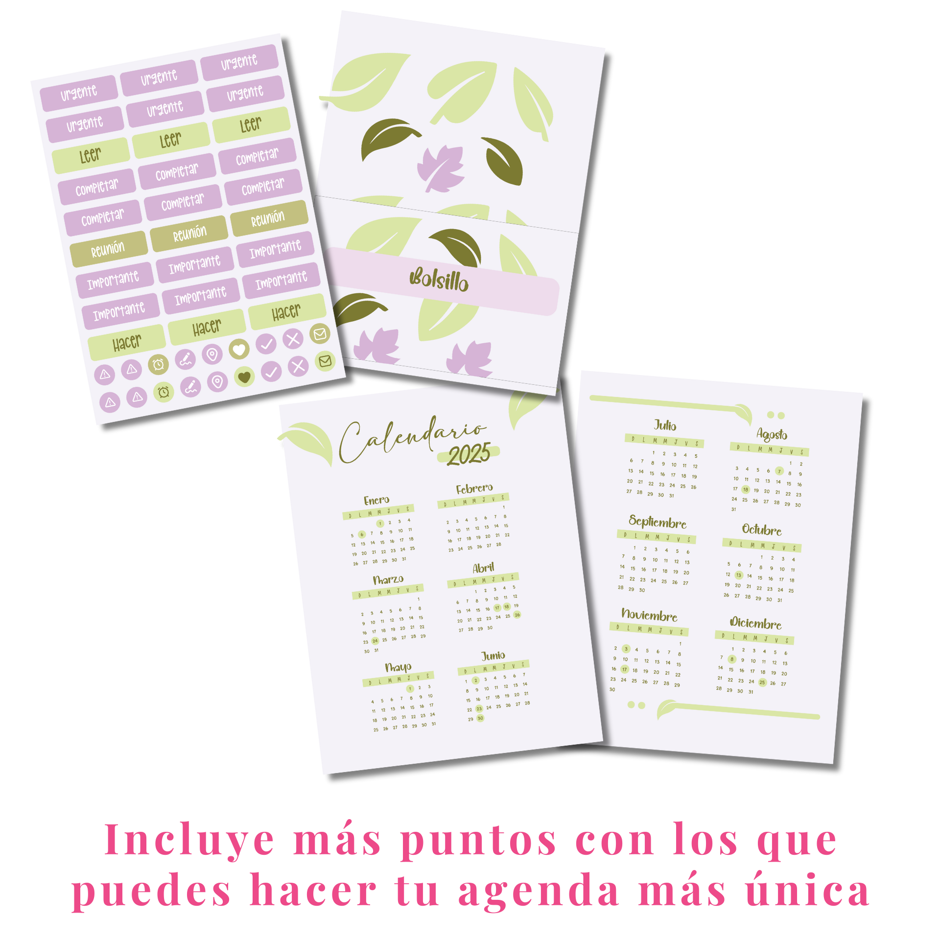 Interior de la agenda