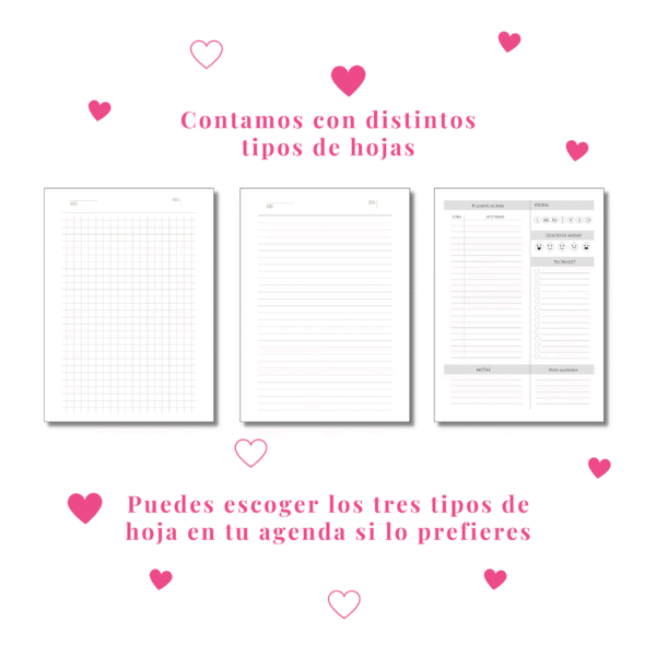 4 Agenda Personalizada de Profesiones - Caricatura