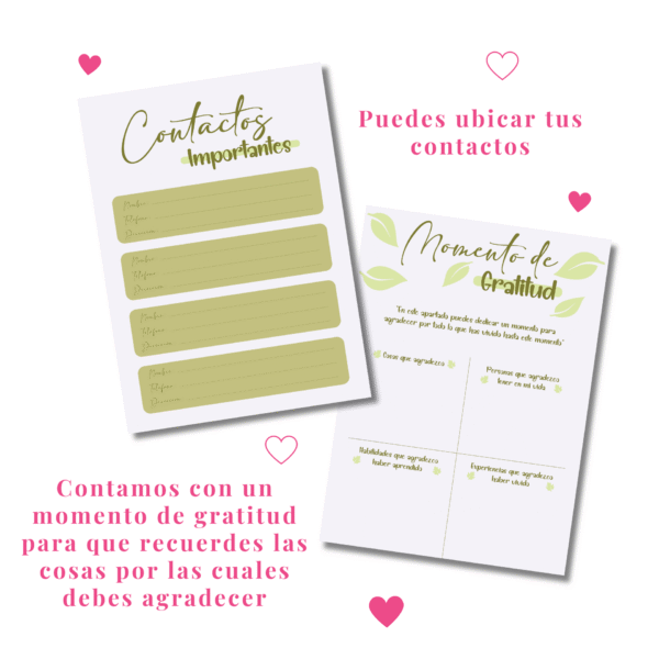 7 Agenda Personalizada de Profesiones - Caricatura