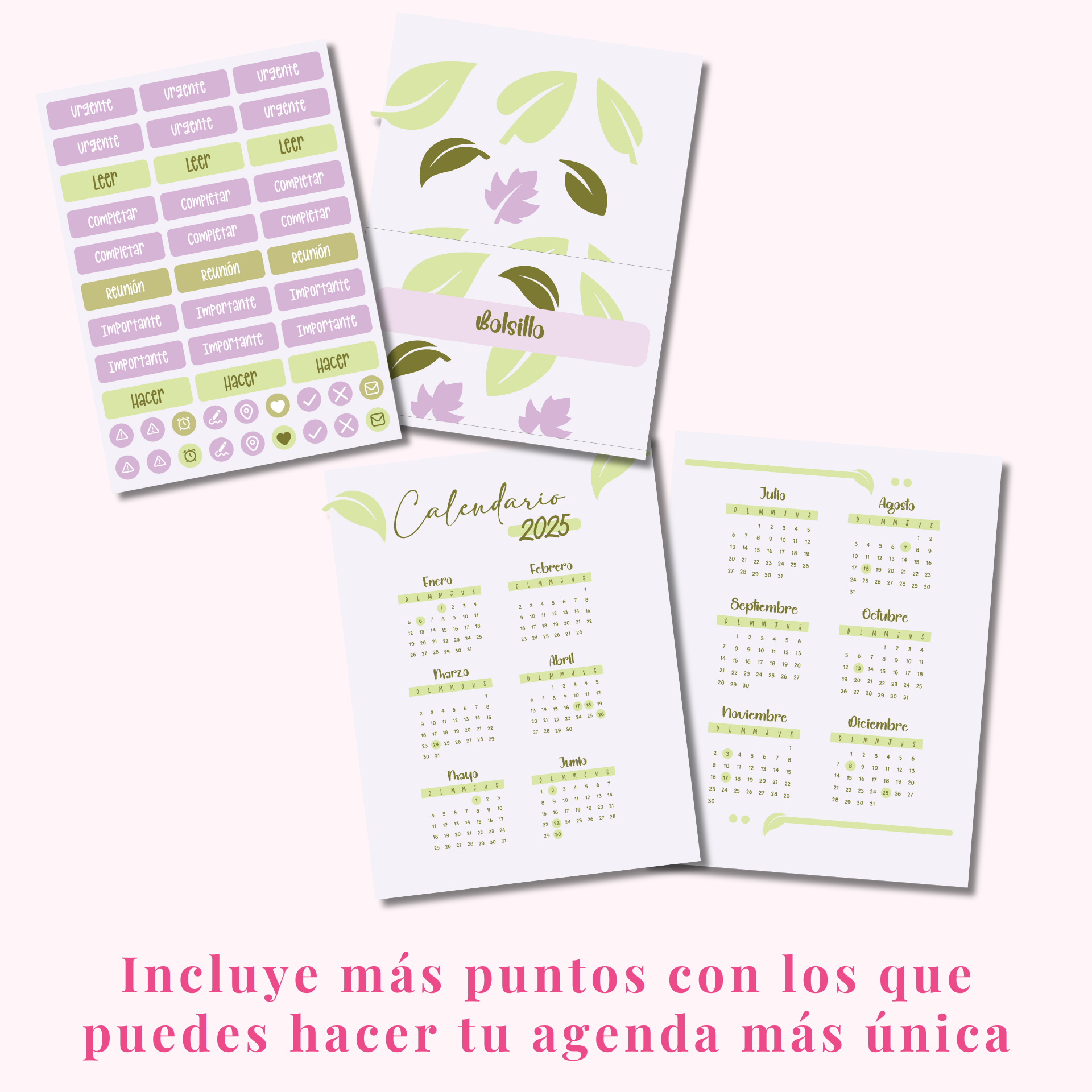 Interior de la agenda