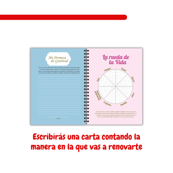 12 Diario de gratitud