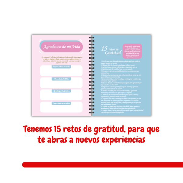 13 Diario de gratitud