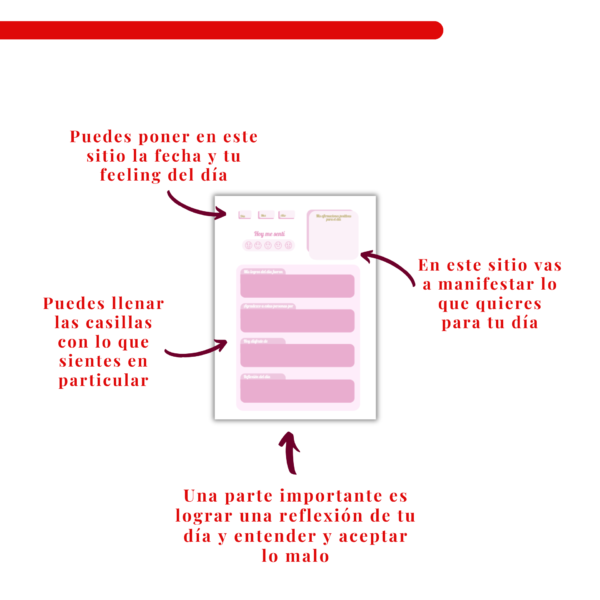 4 Diario de gratitud