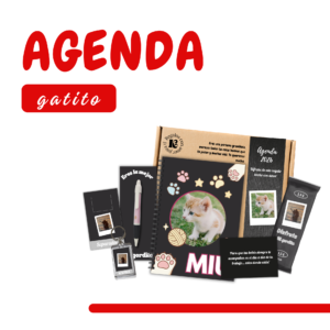 Agenda Personalizada Gatito